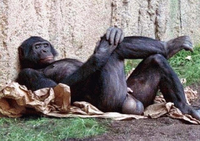 Η ΑΝΑΓΚΗ ΝΑ ΤΑ ΞΥΝΕΙΣ | Apodytiriakias.gr