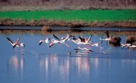 Ο ΧΕΙΜΩΝΑΣ ΕΙΝΑΙ ΠΕΡΙΣΣΟΤΕΡΟ ΜΑΛΑΚΟΣ...